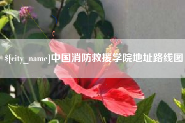 汝州中国消防救援学院地址路线图