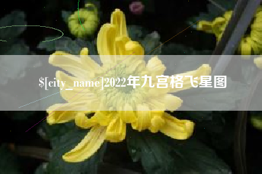 汝州2022年九宫格飞星图