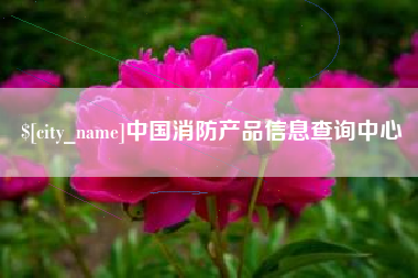 汝州中国消防产品信息查询中心