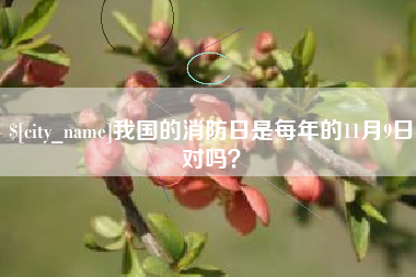 汝州我国的消防日是每年的11月9日对吗？