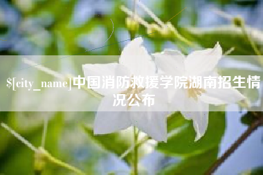 汝州中国消防救援学院湖南招生情况公布