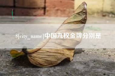 汝州中国九枚金牌分别是
