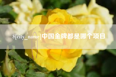 汝州中国金牌都是哪个项目