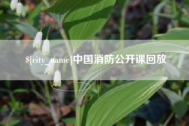 汝州中国消防公开课回放