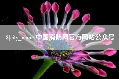 汝州中国消防网官方网站公众号