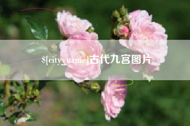 汝州古代九宫图片