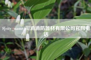 汝州川消消防器材有限公司官网电话