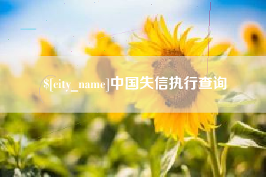 汝州中国失信执行查询