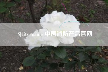 汝州中国消防产品官网