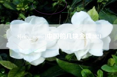 汝州中国的几块金牌2021