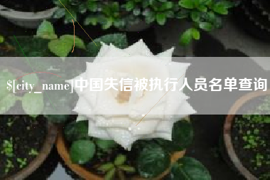 汝州中国失信被执行人员名单查询