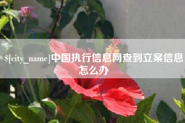 汝州中国执行信息网查到立案信息怎么办