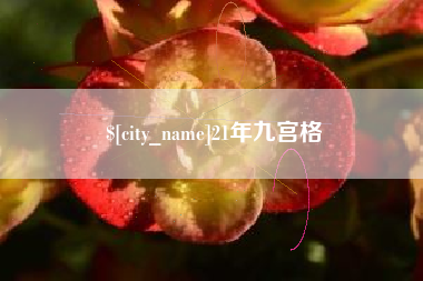 汝州21年九宫格