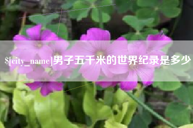 汝州男子五千米的世界纪录是多少