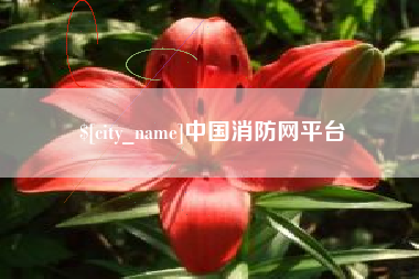 汝州中国消防网平台
