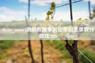 汝州消防救援学院山东招生录取分数线2020