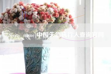 汝州中国失信执行人查询官网