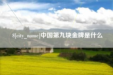 汝州中国第九块金牌是什么