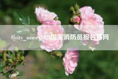汝州2021国家消防员报名官网