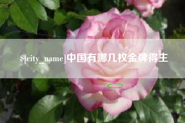 汝州中国有哪几枚金牌得主