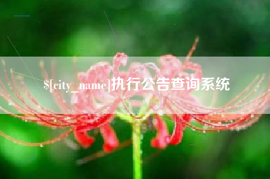 汝州执行公告查询系统