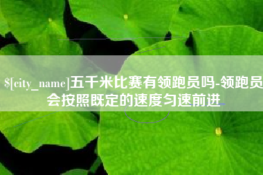 汝州五千米比赛有领跑员吗-领跑员会按照既定的速度匀速前进
