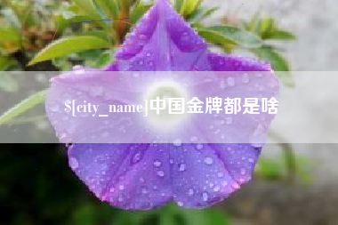 汝州中国金牌都是啥