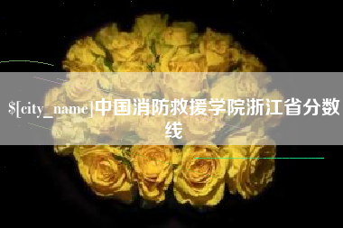 汝州中国消防救援学院浙江省分数线
