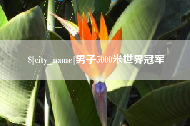 汝州男子5000米世界冠军