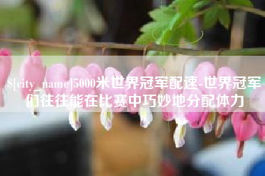 汝州5000米世界冠军配速-世界冠军们往往能在比赛中巧妙地分配体力