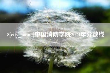 汝州中国消防学院2024年分数线