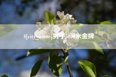 汝州男子5000米金牌