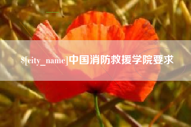 汝州中国消防救援学院要求