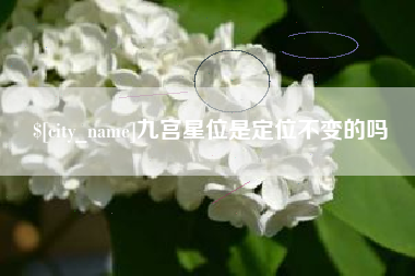 汝州九宫星位是定位不变的吗