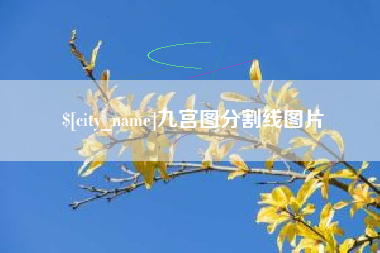 汝州九宫图分割线图片