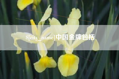 汝州中国金牌包括