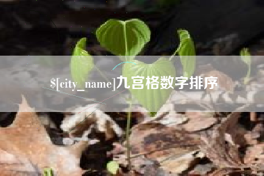 汝州九宫格数字排序
