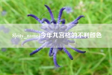 汝州今年九宫格的不利颜色