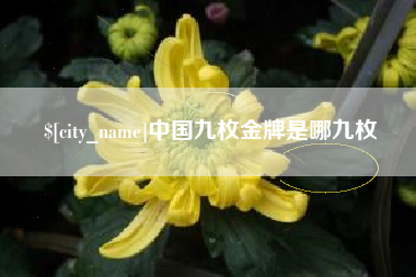 汝州中国九枚金牌是哪九枚