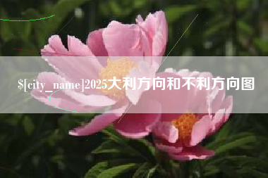 汝州2025大利方向和不利方向图
