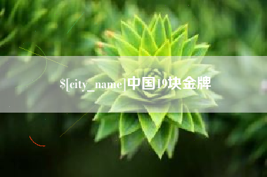 汝州中国19块金牌