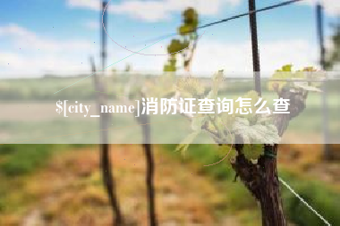 汝州消防证查询怎么查