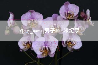 汝州男子5000米纪录