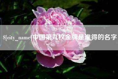 汝州中国第九枚金牌是谁得的名字