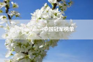 汝州中国冠军榜单