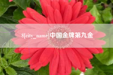 汝州中国金牌第九金