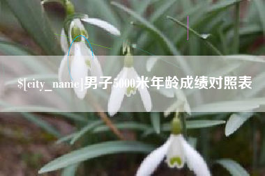 汝州男子5000米年龄成绩对照表