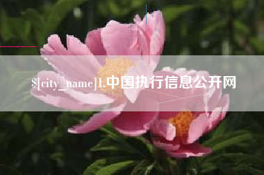 汝州1.中国执行信息公开网