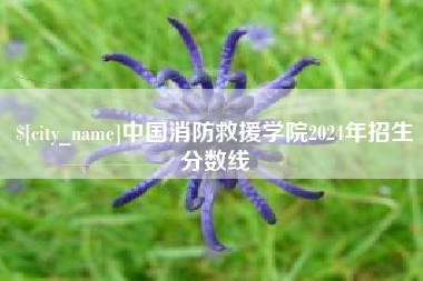 汝州中国消防救援学院2024年招生分数线
