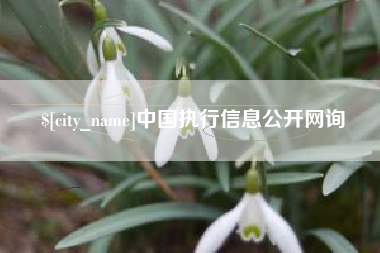 汝州中国执行信息公开网询